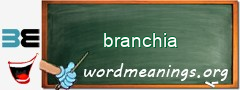 WordMeaning blackboard for branchia